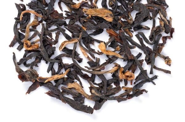 assam harmony