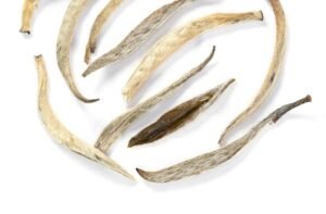 Alternative view of fujian silver needle