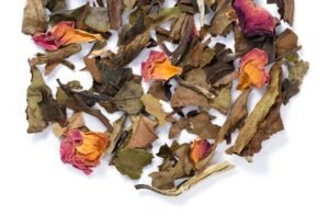 Alternative view of white tropics